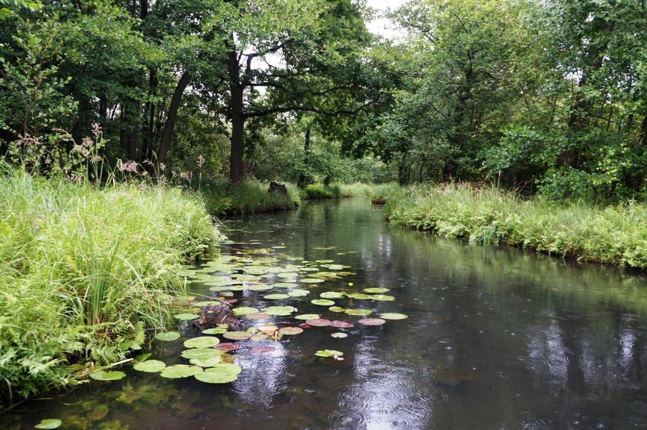 Blugarden Ferienapartments Im Spreewald Lübben Esterno foto